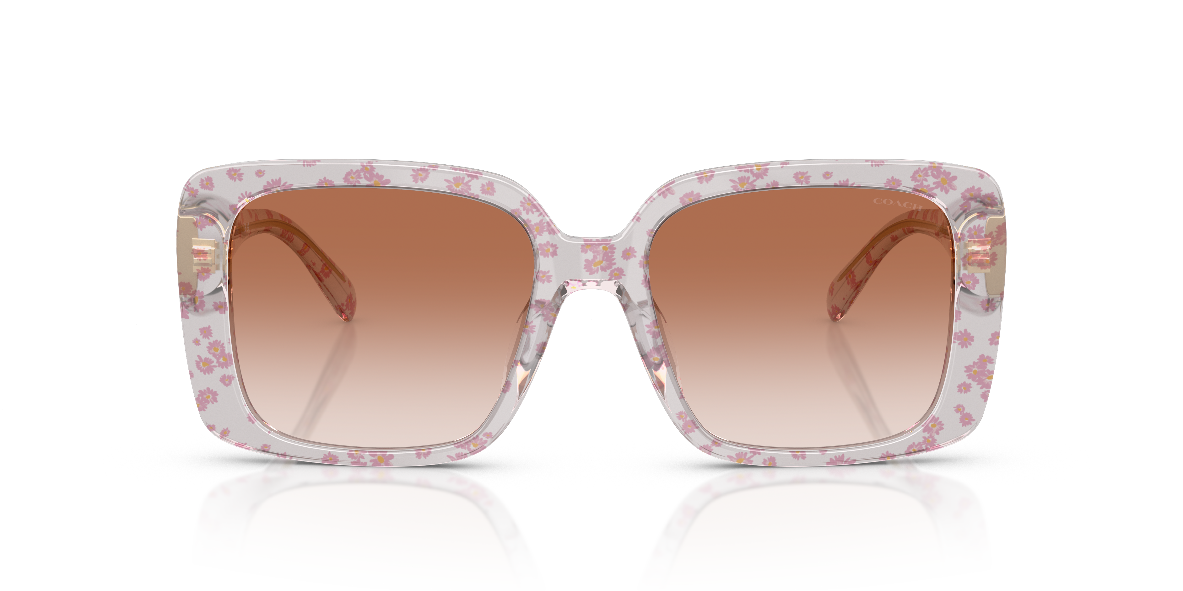 Coach HC8424U 595313 Cad54 